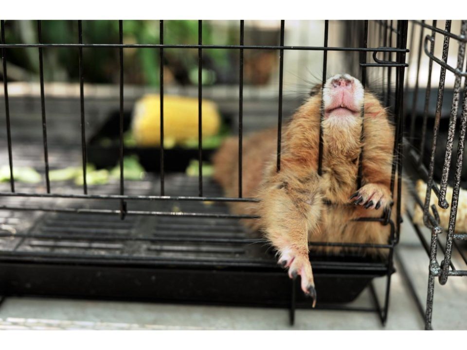feeling trapped